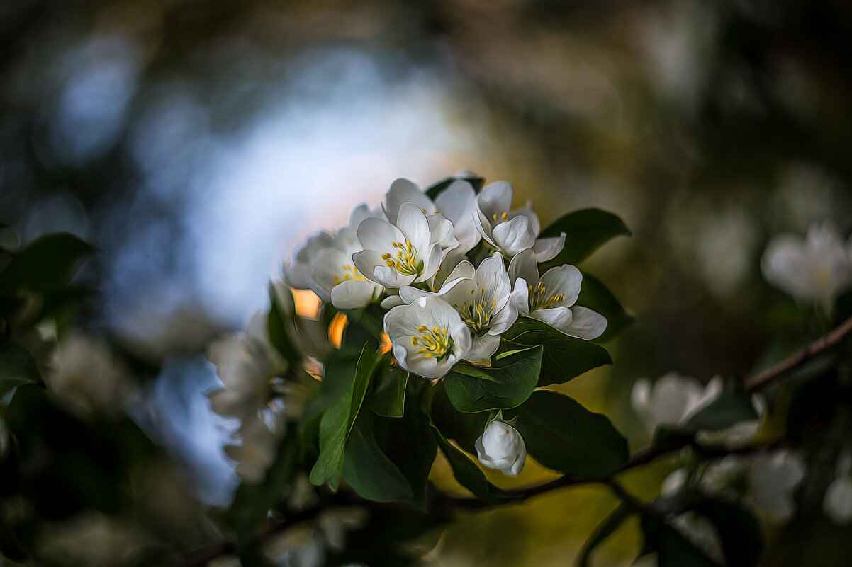 Хочется весны :) - Игорь Шевченко