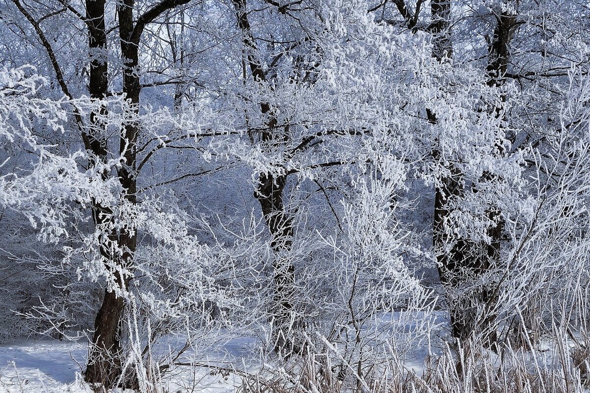 Морозное дыхание зимы - Рита Симонова