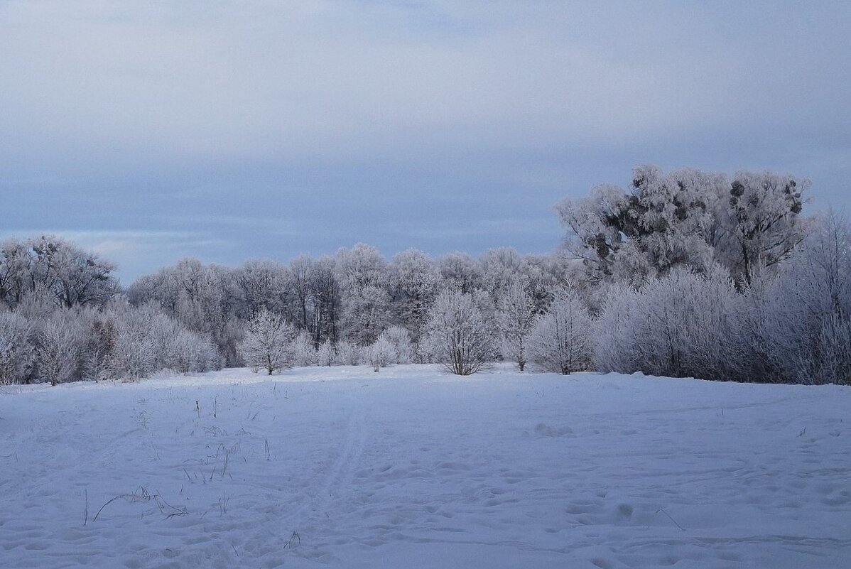 Зимний пейзаж - Рита Симонова