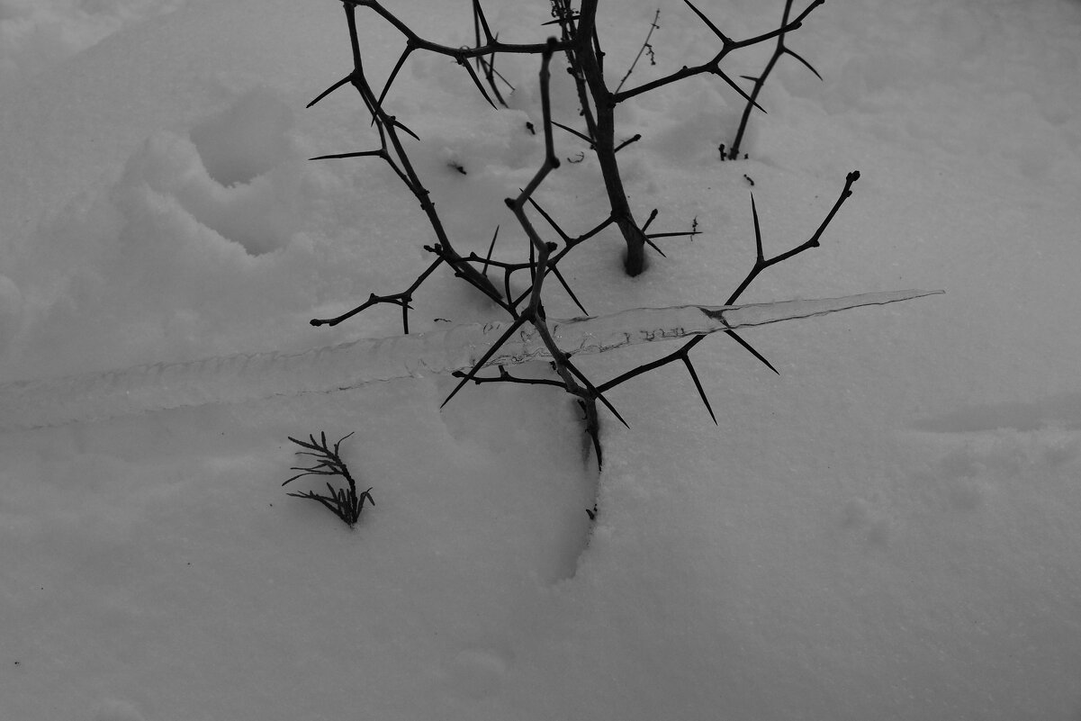 Мечты о ч/б Лейке 5. - Михаил Елочкин