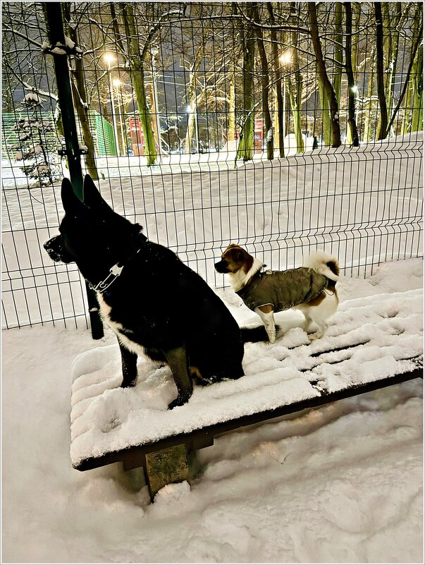 Яша с другом Каем. - Валерия Комова Яша с другом Каем. - Валерия Комова