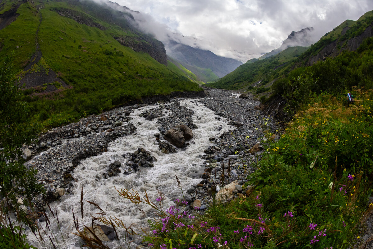 Вдоль реки - Алексей 