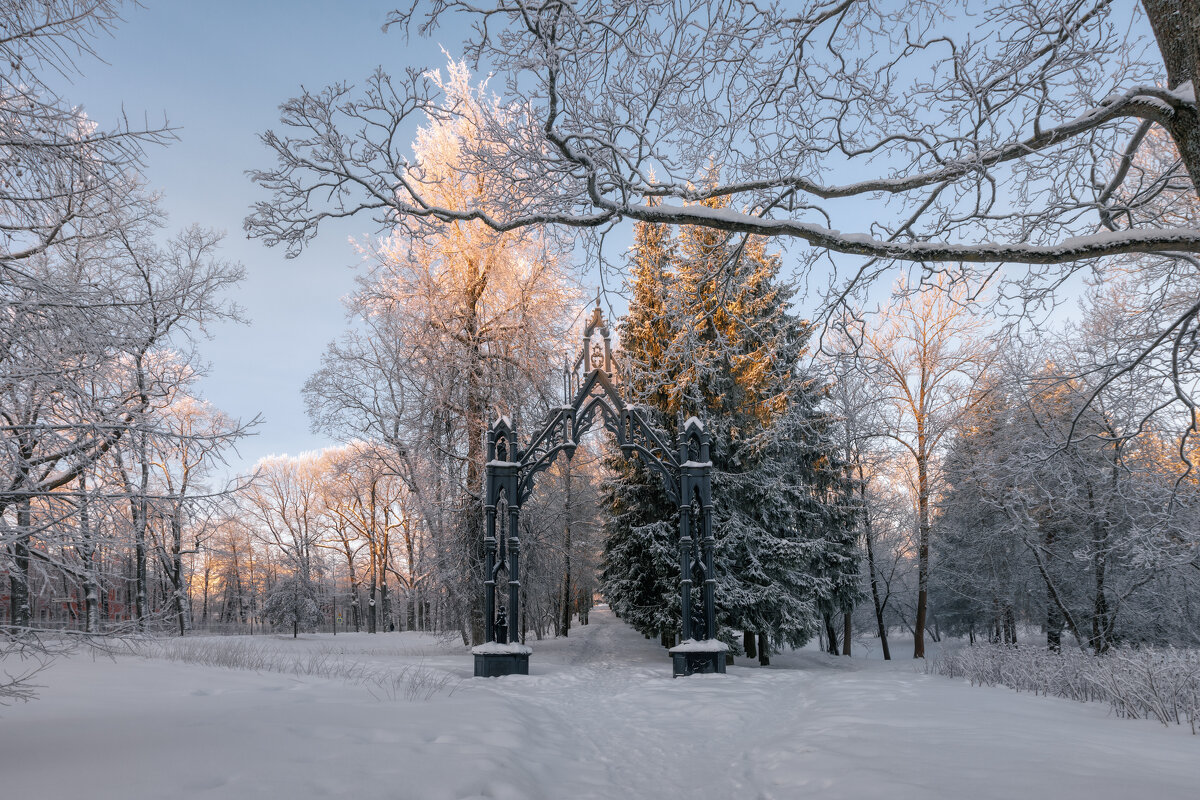 Про Питер - Владимир Колесников Про Питер - Владимир Колесников