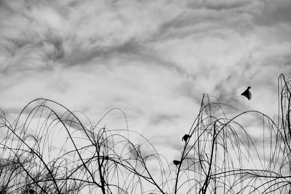 Необычные облока - Мария Яковлева Необычные облока - Мария Яковлева