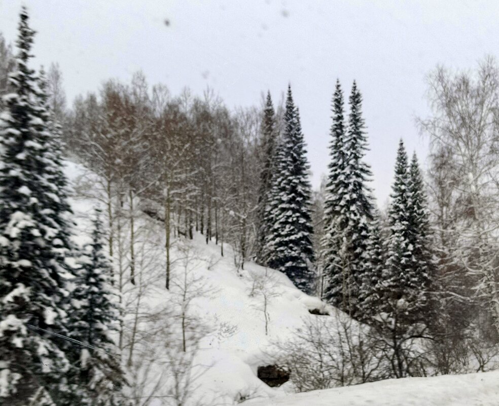 Метель в горах . - Мила Бовкун