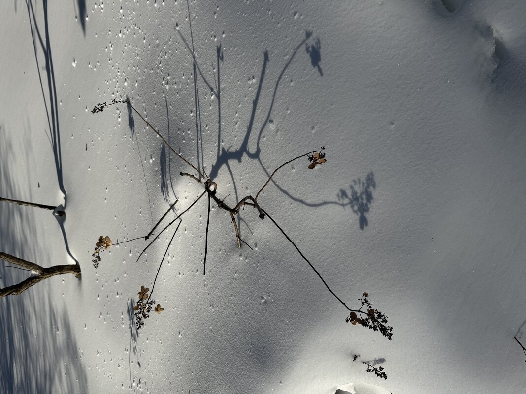 Весна уде близко. Время зимы уходит. - Pippa 