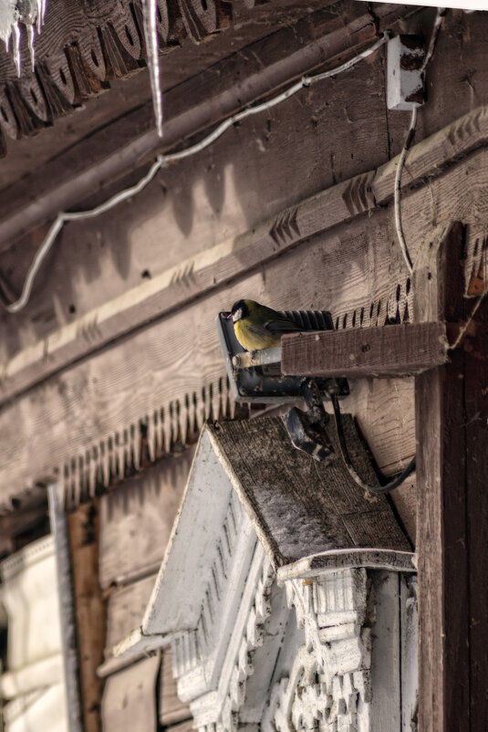 Отдых - sorovey Sol