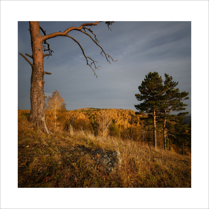 * - Александр Иванов