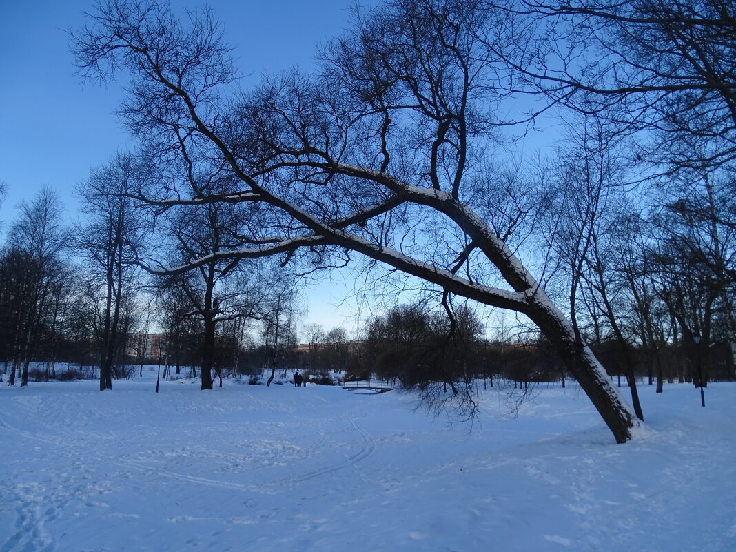 утром в парке - Anna-Sabina Anna-Sabina утром в парке - Anna-Sabina Anna-Sabina