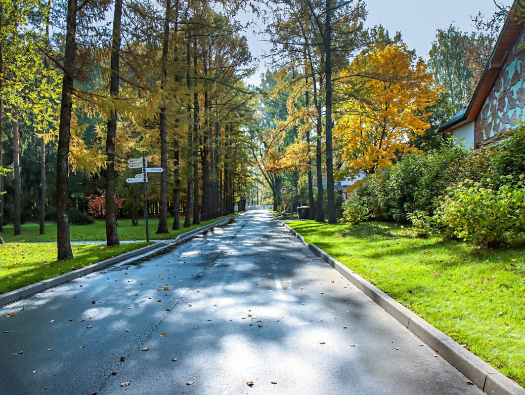По ВДНХ - веселов михаил 