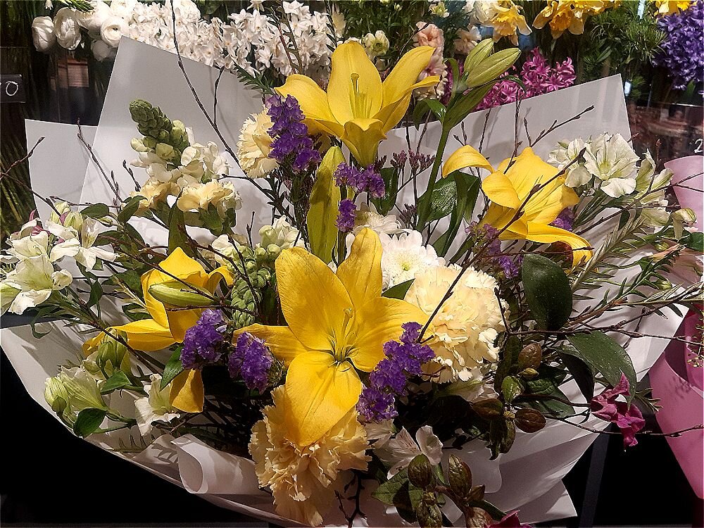 Дорогие мужчины,поздравляю с праздником!Будьте здоровы и счастливы! - Нина Андронова Дорогие мужчины,поздравляю с праздником!Будьте здоровы и счастливы! - Нина Андронова