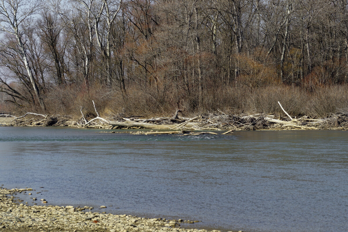 Река Кубань - Игорь Сикорский