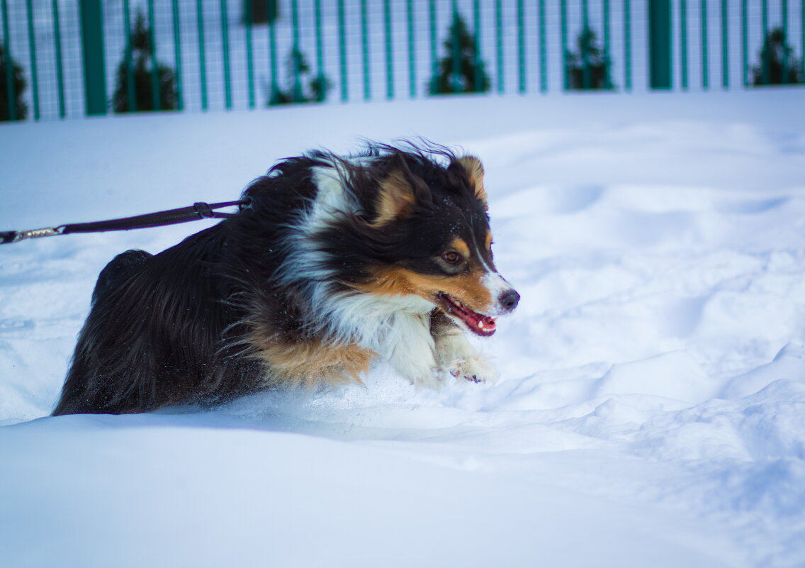 Рывок - Артём Евтюхов