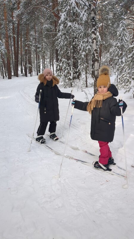 Лыжницы - Андрей Хлопонин