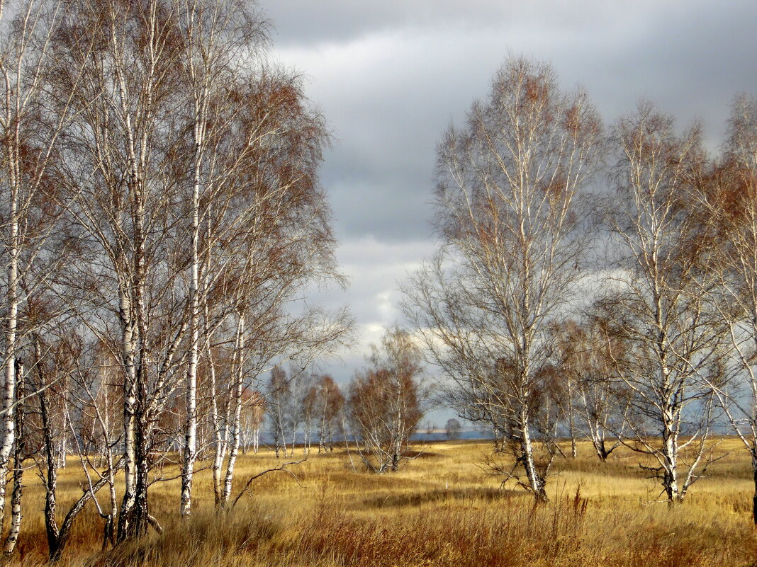 Ещё недавно была осень. - nadyasilyuk Вознюк