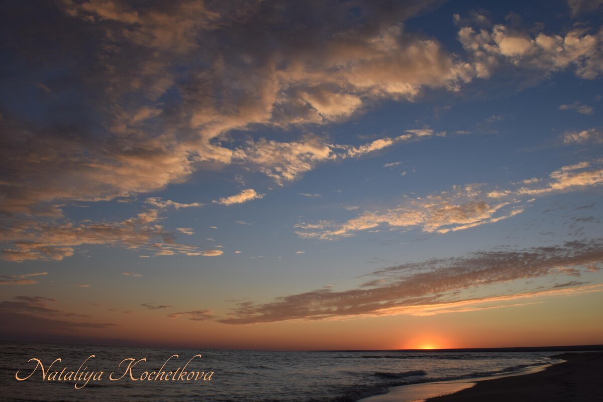 Природа Крыма - Amazing Cosmea