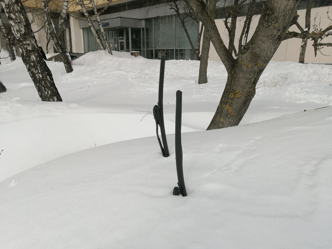 В ОЖИДАНИИ ВЕСНЫ - Юрий Вовк