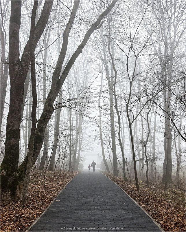 В тумане - Анастасия Северюхина