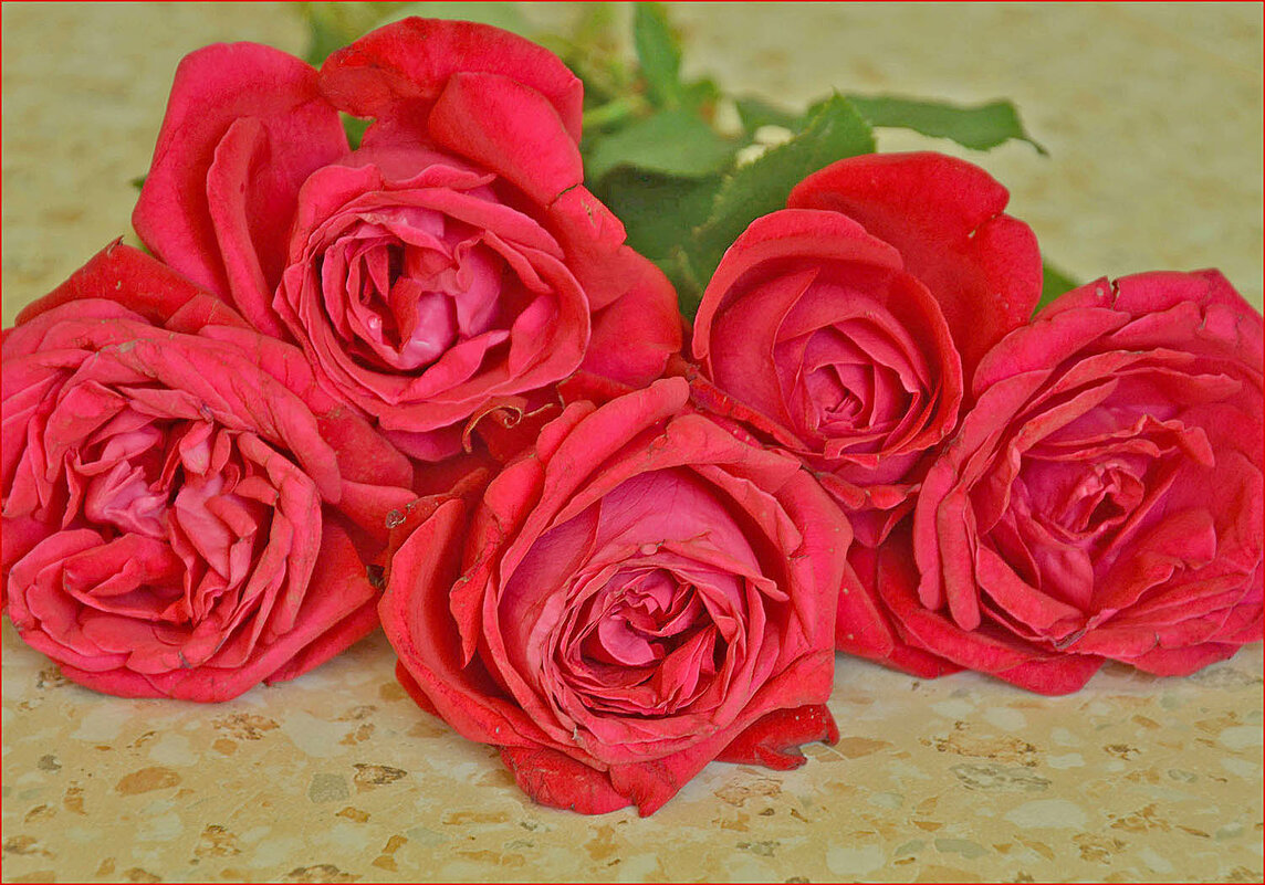 С 23 февраля! - Валентина  Нефёдова 