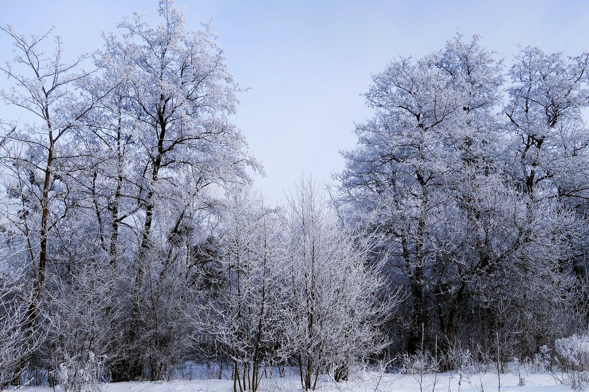 Морозное дыхание зимы - Рита Симонова