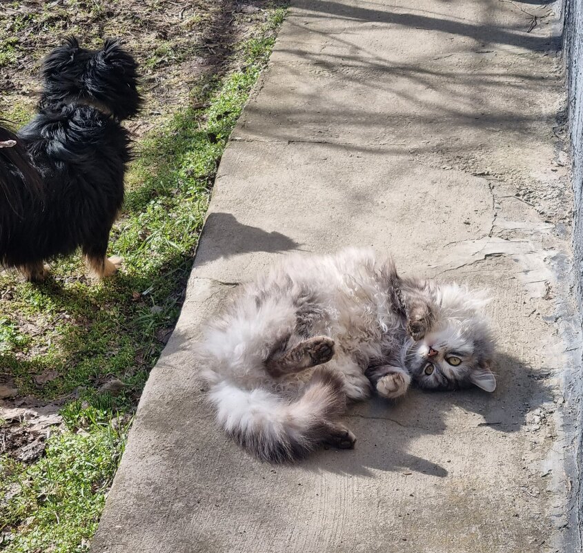 Кажется, зима закончилась... - Наталья Кажется, зима закончилась... - Наталья