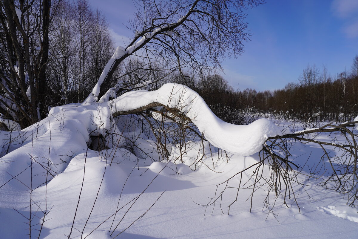 Снежный змей - Сергей Ц