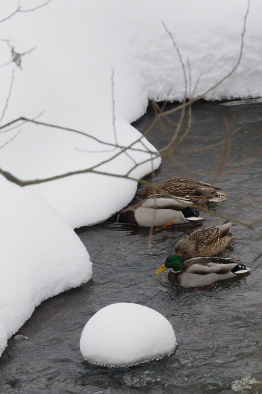 -- - Александр Малюгин