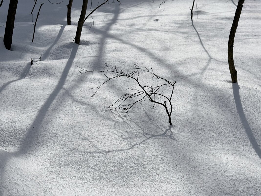 На снежной простыне… - Любовь 