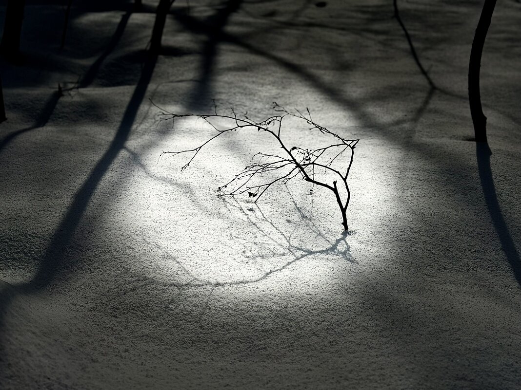 В центре внимания. - Любовь 
