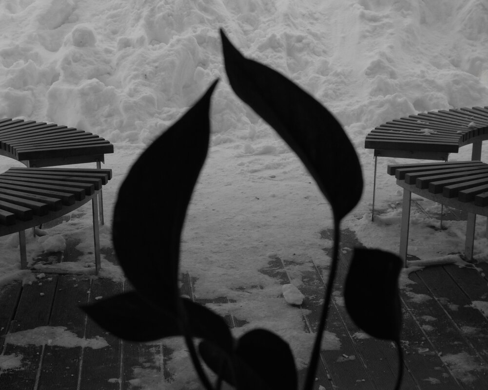 Единство - Сергей Матвеенко