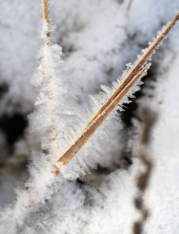 Изморозь (продолжение) - Мария К. Изморозь (продолжение) - Мария К.