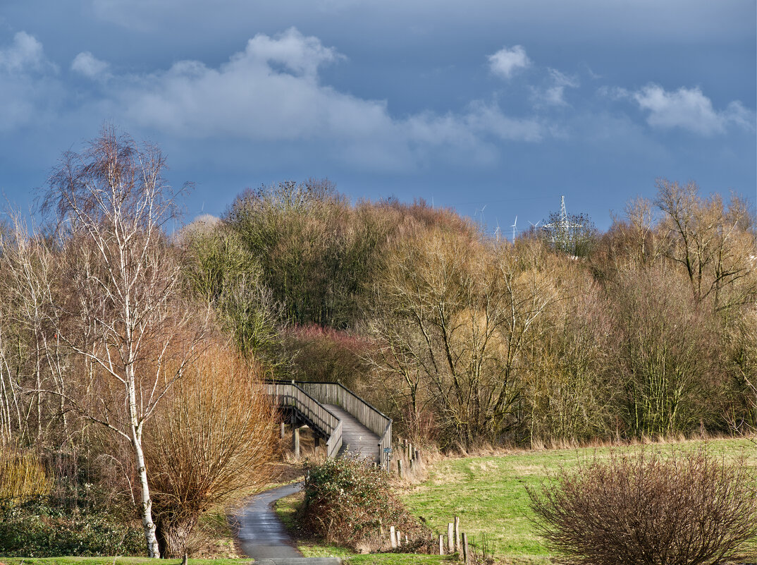 После дождичка в понедельник - Jakob Dick
