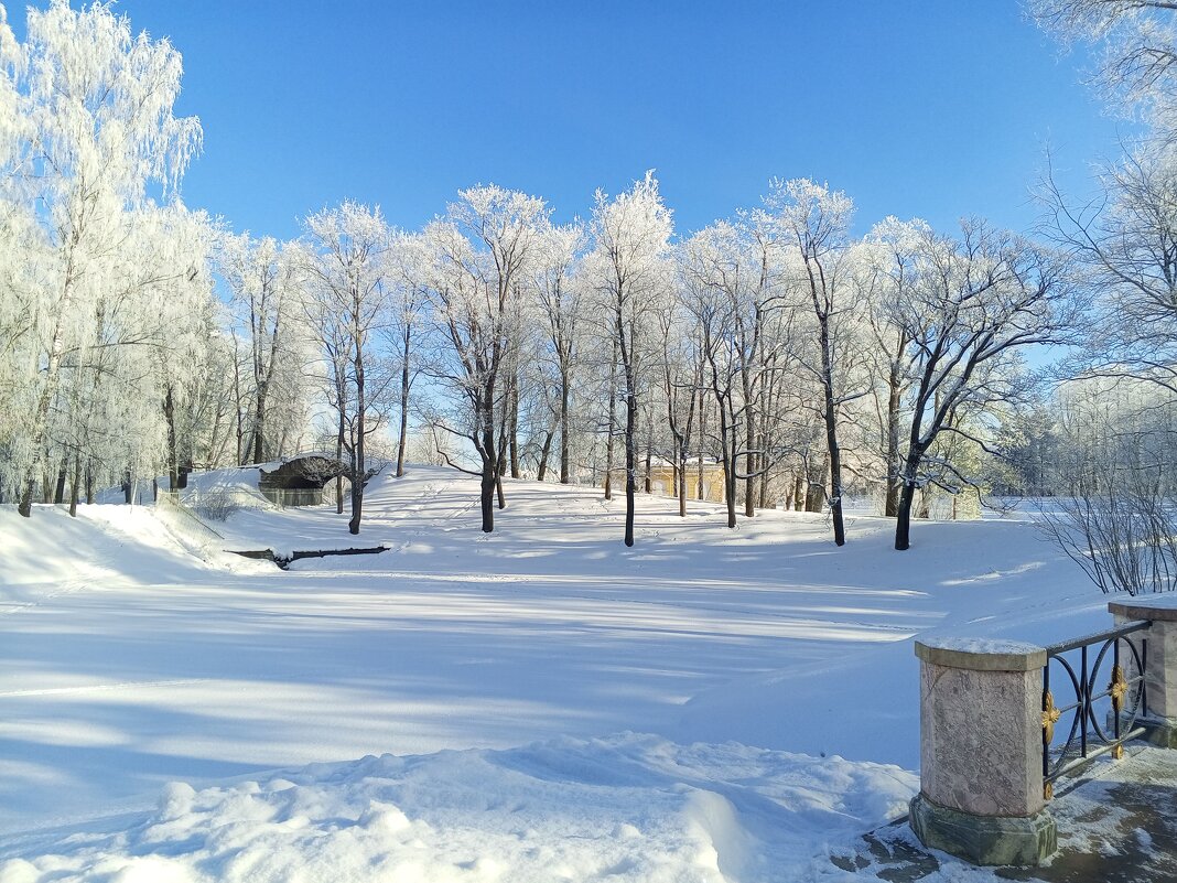 Зима - Сапсан 