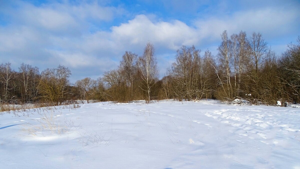 Зима в феврале. - Милешкин Владимир Алексеевич 
