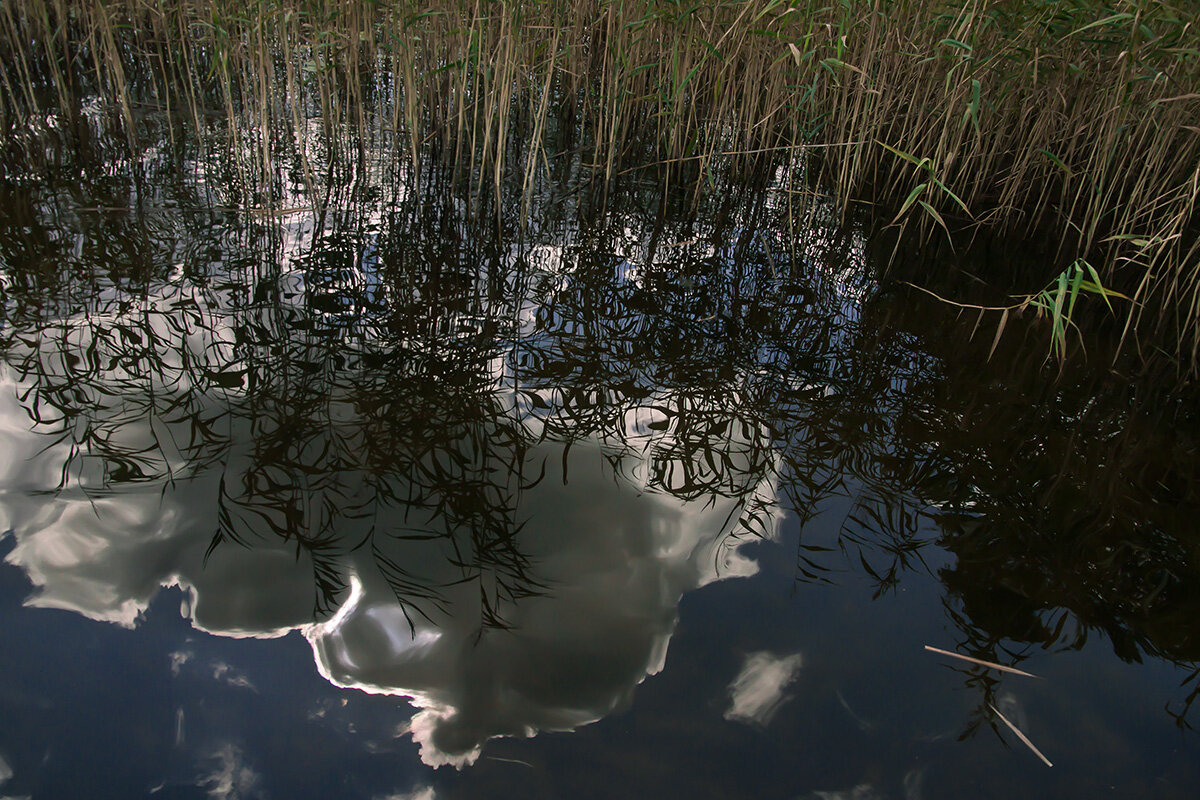 Убежище отражений - Yury Mironov