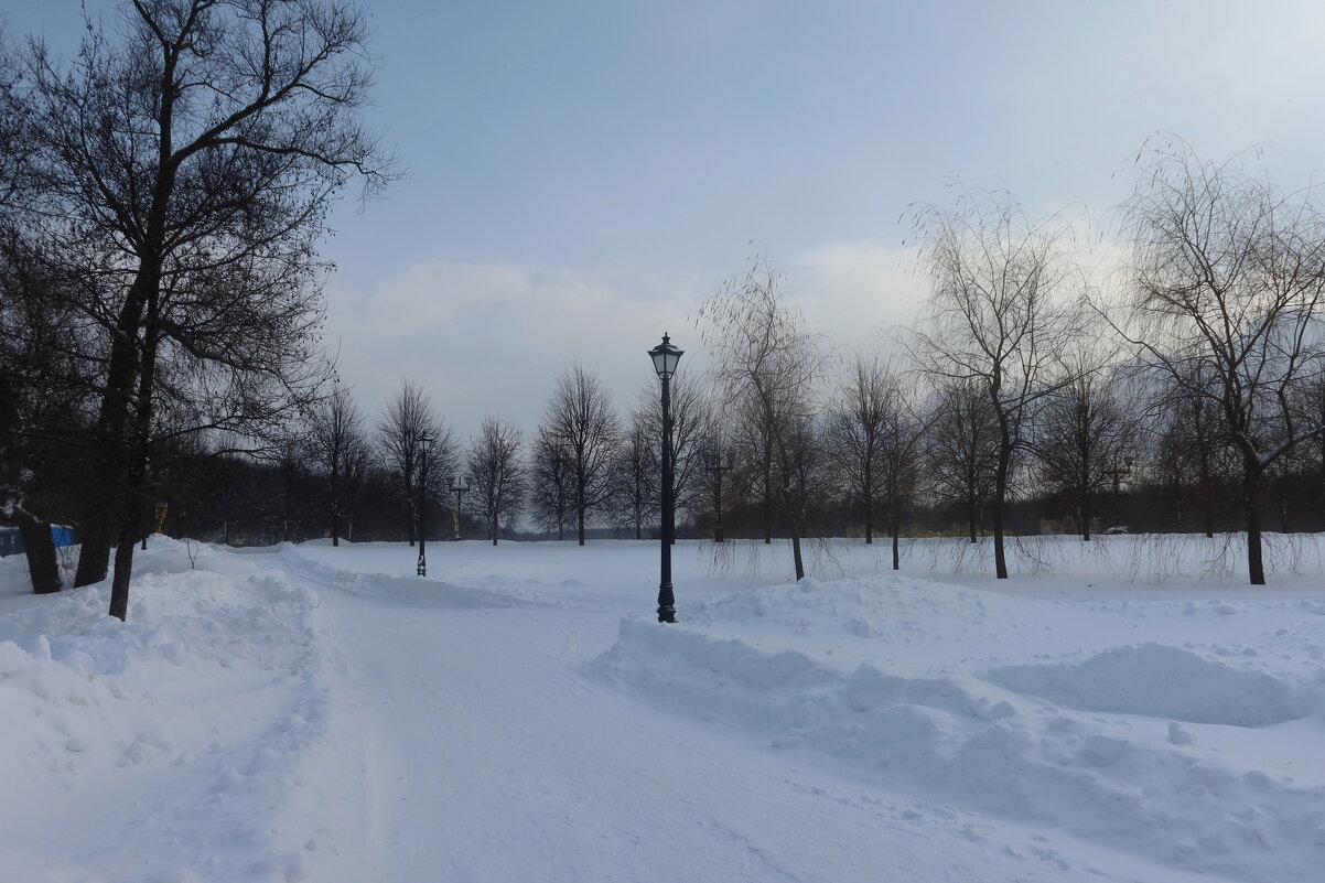 Парк - Дмитрий И_