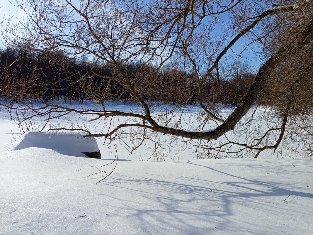 С мыслями уже о весне - Андрей Лукьянов