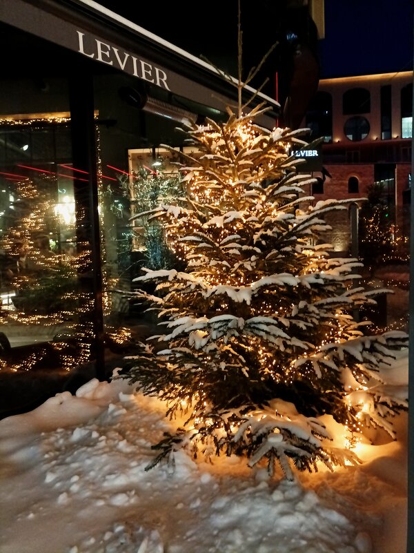 Вечерняя прогулка - Veera V