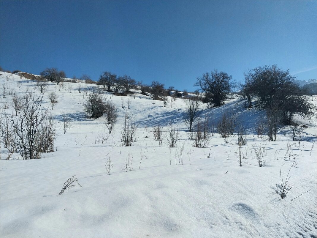 Ак Булак. Талгар. - Murat Bukaev 