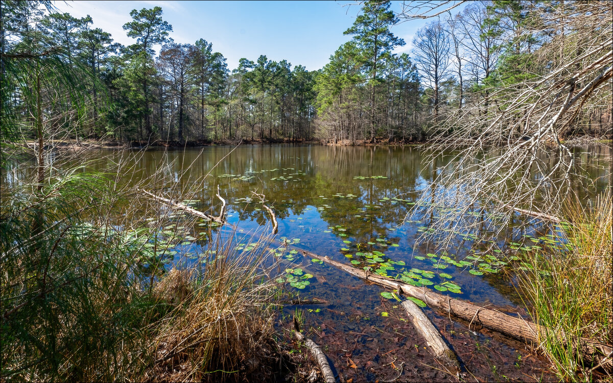 Озерцо - **** vedin