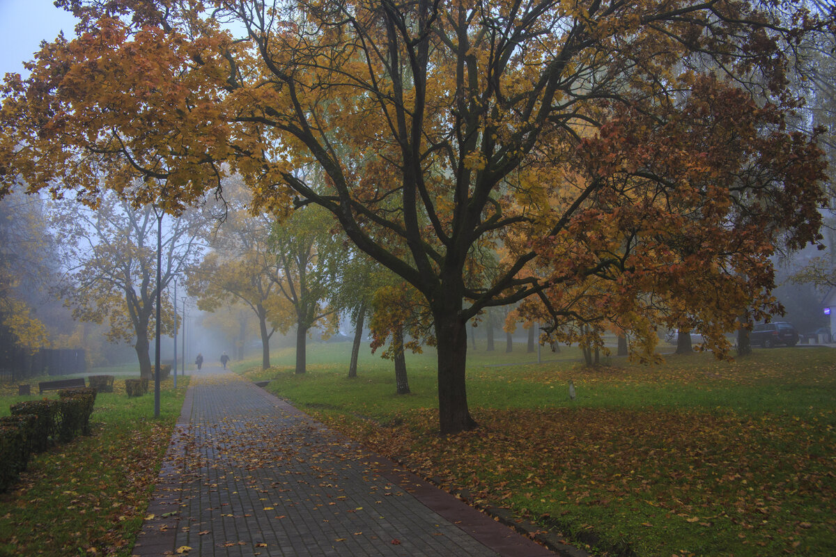 Утро. Туман. - Владимир Гришин