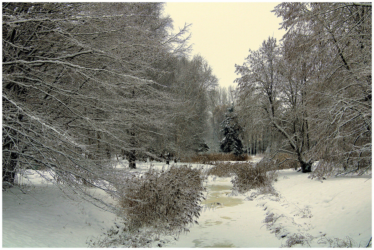 *** - Aleksandr Gal *** - Aleksandr Gal