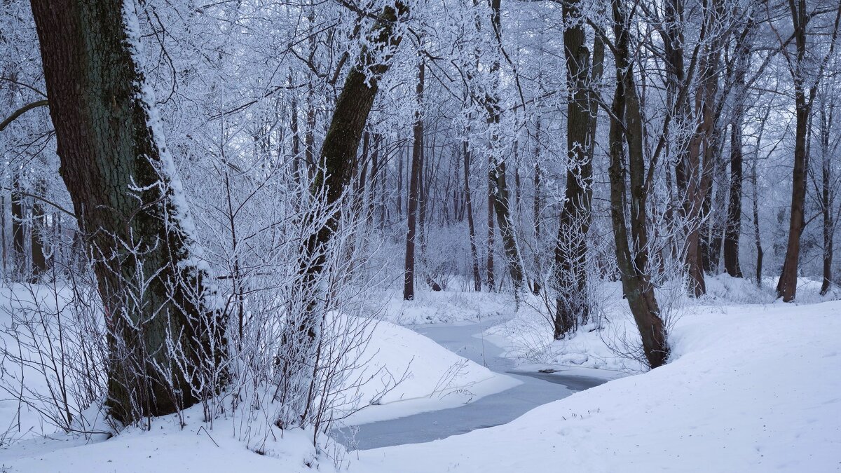 Заснеженный парк - Рита Симонова