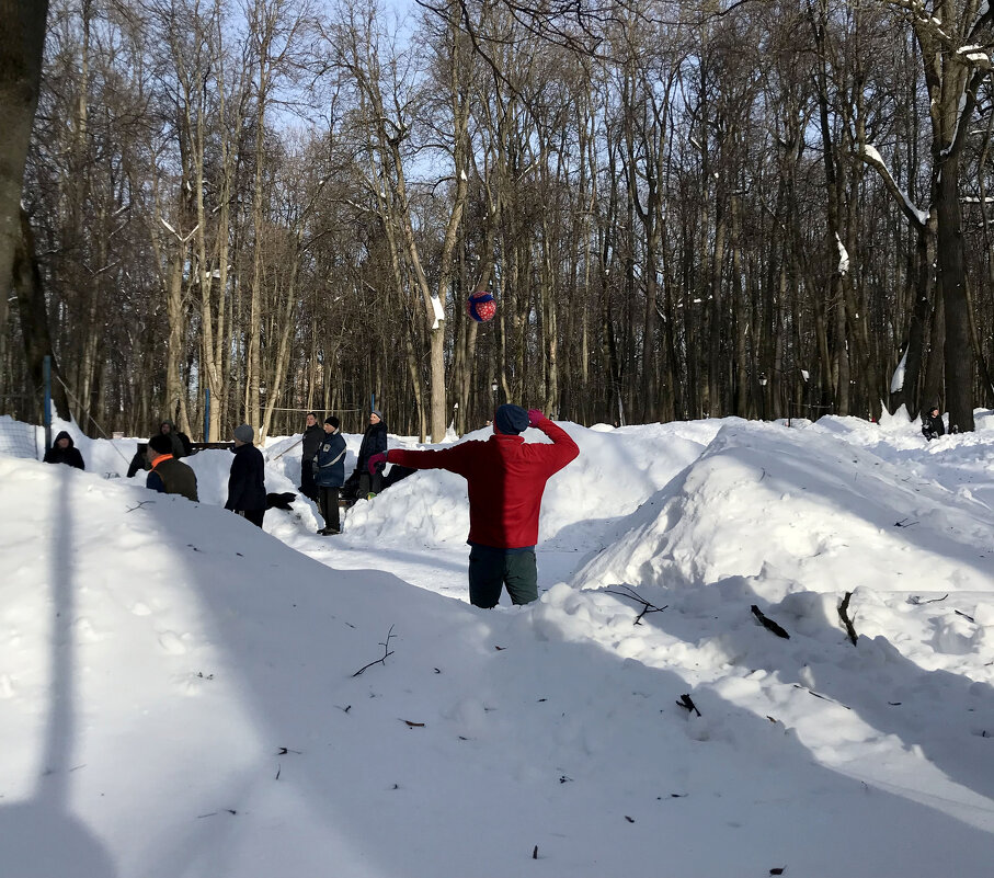 Подача - Лариса Корж