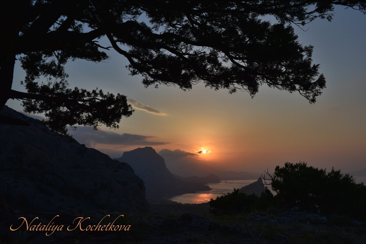 Природа Крыма - Amazing Cosmea