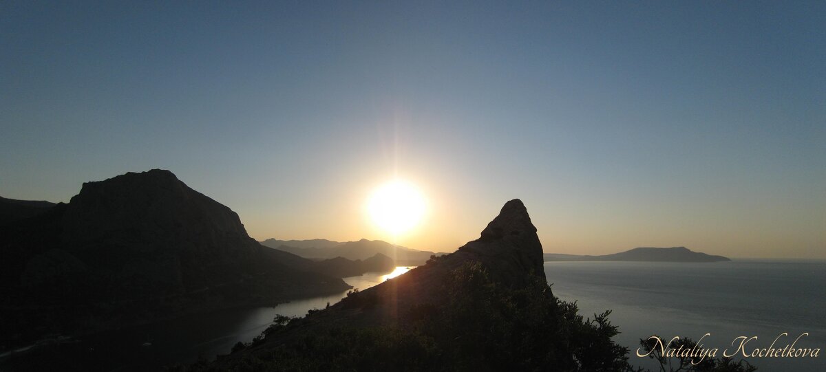 Природа Крыма - Amazing Cosmea