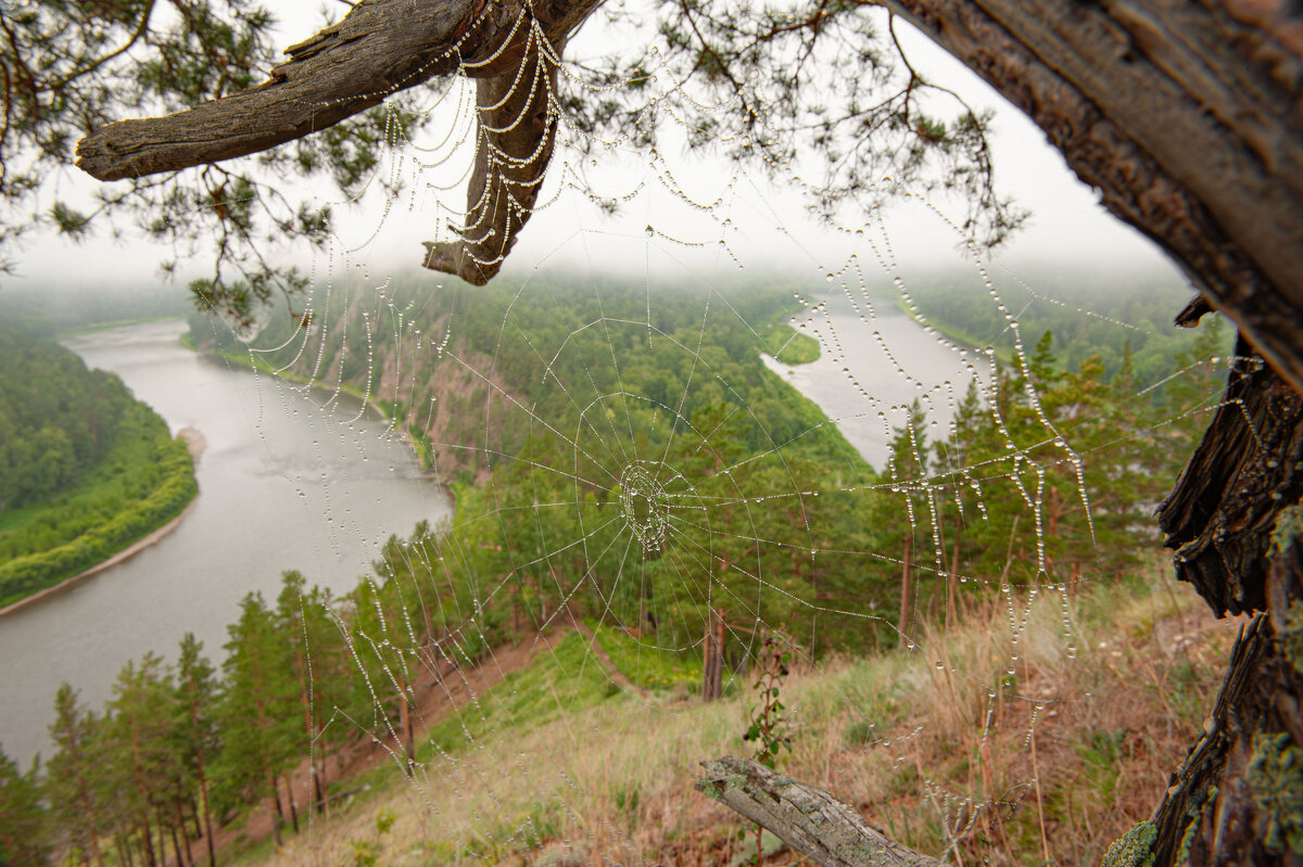 Манская петля - Сергей Герасимов