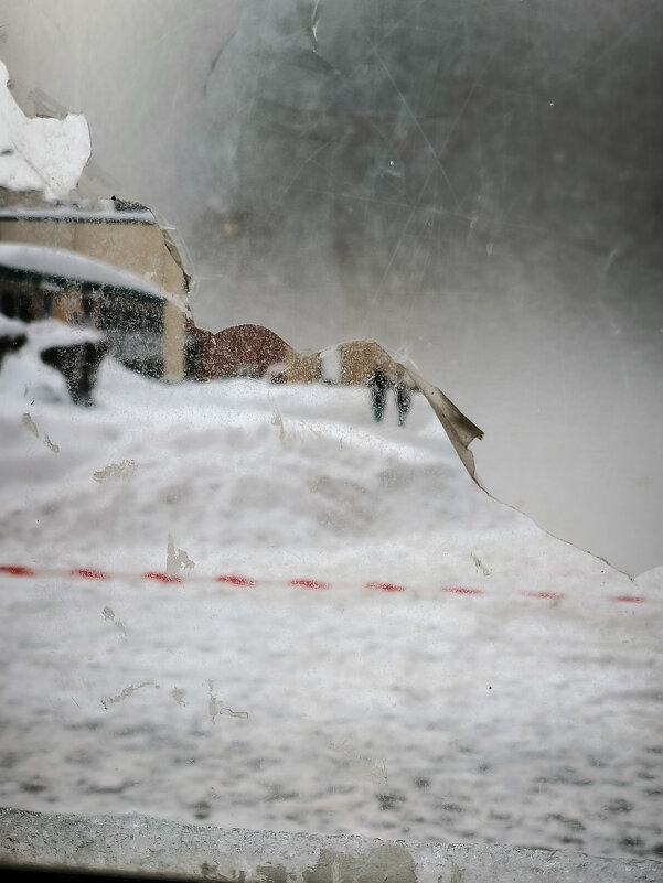 * - Сергей Полянский