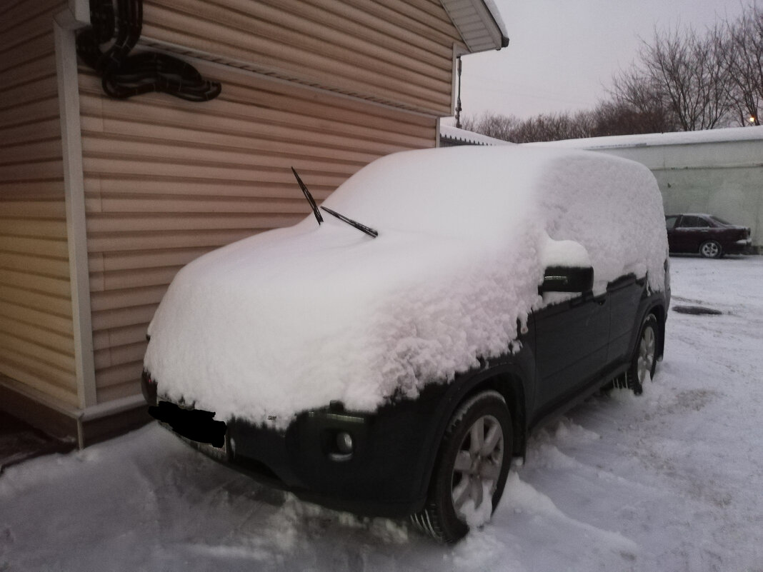Поездка на дачу - Евгений 