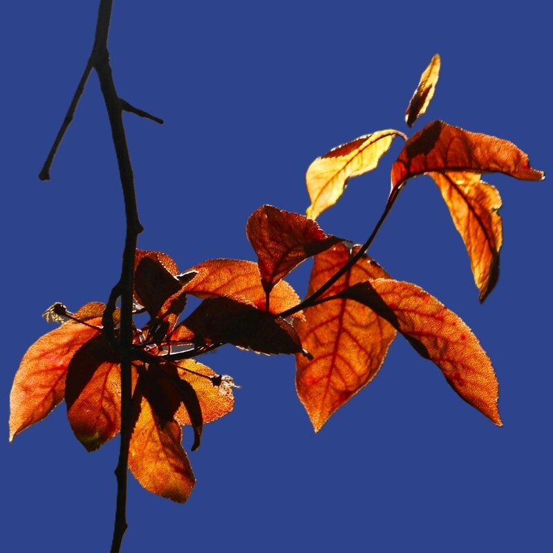 О весне - Юрий. Шмаков